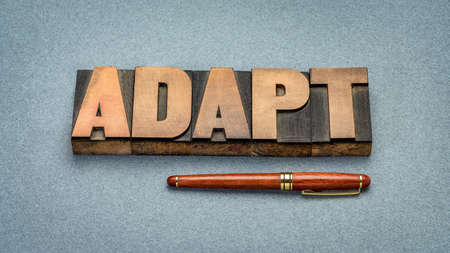 adapt word abstract in vintage letterpress wood type, evolve and embrace change conceptの写真素材