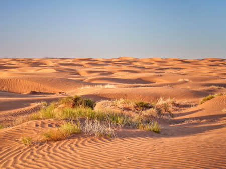 sand dunes field, dusty and windy morning in San Rafael Swell area in Utah (Lower San Rafael Road)の写真素材