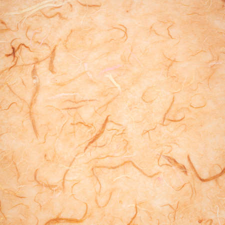 background of light brown textured handmade mulberry paperの写真素材