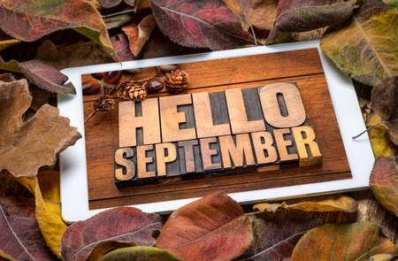 Hello September - word abstract in vintage letterpress wood type blocks on a digital tablet with...