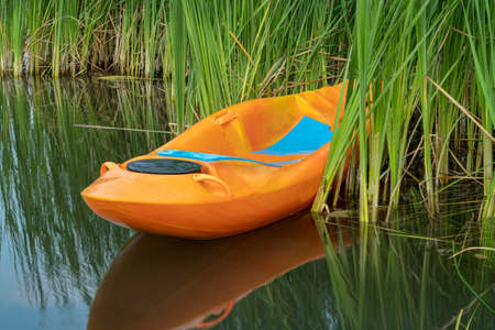 prone kayak in reeds at lake shore in Colorado, water recreation concept