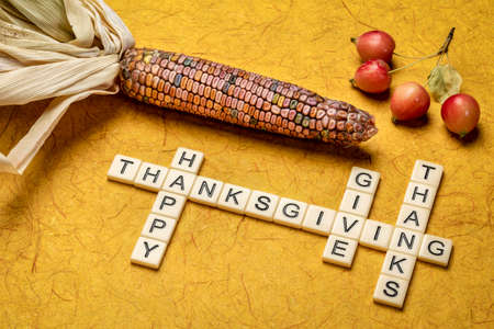 Happy Thanksgiving and give thanks crossword with ornamental corn and crab apples, fall holiday celebrationの写真素材