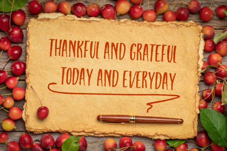 thankful and grateful, today and everyday - Thanksgiving inspirational slogan, handwriting on a...