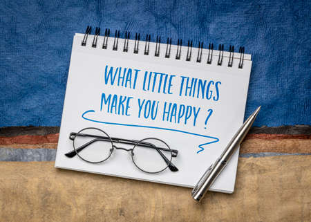 What little things make you happy? Inspiration question handwritten in a spiral notebook against colorful abstract paper landscape, happiness and personal development concept.の写真素材