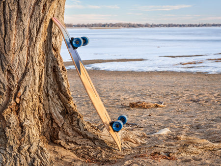 cruising longboard on a lake shore in winter scenery in northern Colorado - Boyd Lake State Parkの写真素材