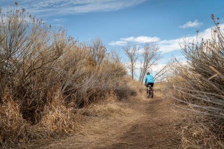 single track trail in winter or fall scenery with a male cyclist on a gravel bike - Arapaho Bend Natural Area in Fort Collins, Coloradoの写真素材
