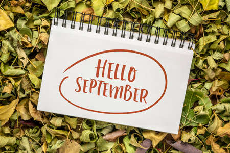 Hello September cheerful greeting note - handwriting in a spiral sketchbook against background of...