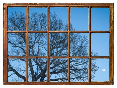 winter tree silhouette with a full moon as seen from a vintage sash windowの写真素材