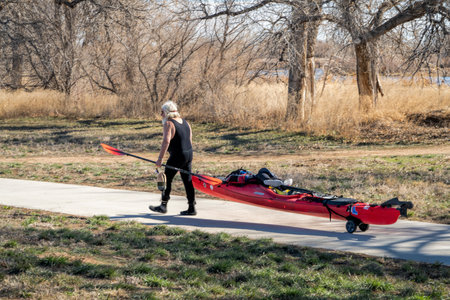Evans, CO, USA - April 1, 2023: Senior male kayaker in a wetsuit is transporting his sea kayak on a cart for early spring paddling on the South Platte River in Colorado.のeditorial素材