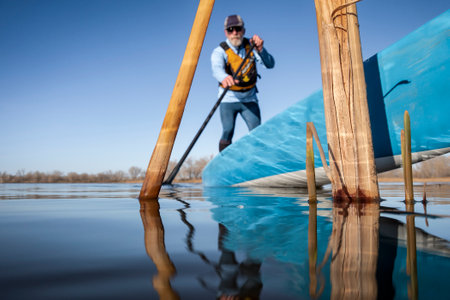 reeds on a calm lake in spring with an out of focus stand up paddler, frog perspective from an...