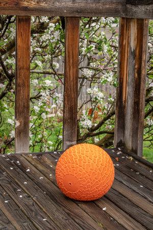 heavy slam ball filled with sand on a backyard deck, exercise and functional fitness conceptの写真素材