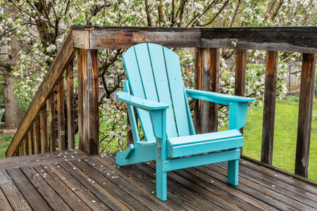 empty Adirondack chair on a wooden backyard deck, spring scenery with a blooming apple treeの写真素材