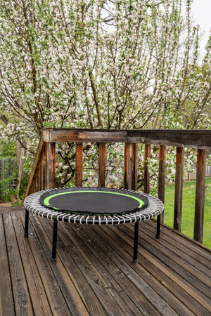 mini trampoline for fitness exercising and rebounding in a backyard patio, springtime scenery