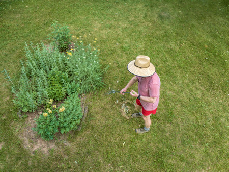 aerial view of a man in a big straw sun hat raking lawnの写真素材