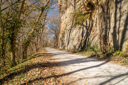 Katy Trail near Rocheport, Missouri, late November forest sceneryの写真素材