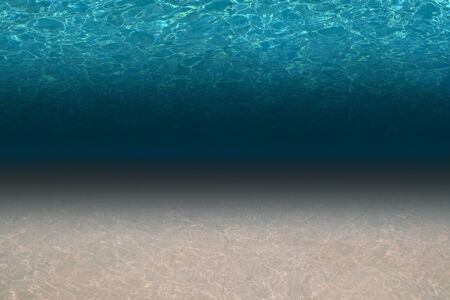 The sun shines through the waves and casts a pattern on the ocean floor