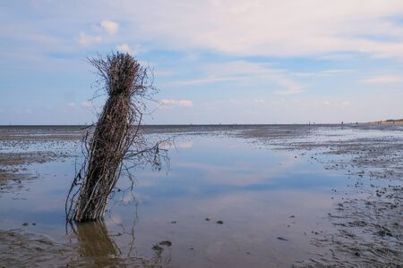 A shrub bordering the path is reflected in the waters of the Priel during the low tide