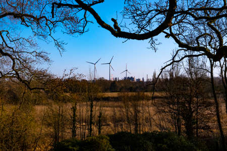 Wind turbines framed by treesの写真素材