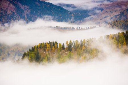 Low clouds over the mountain townの写真素材