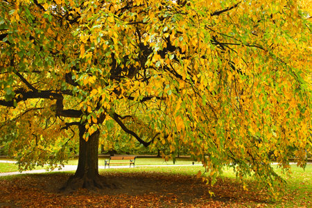 Parc of Schloss Ambras, Innsbruckの写真素材