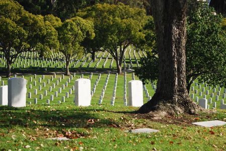 Tombstones lined up in the Los Angeles National Cemetery. The VA National Cemetery Administration...