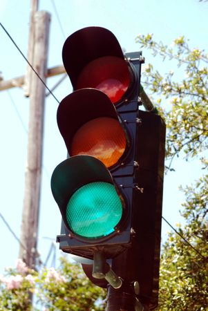 Green light standing tall.の写真素材