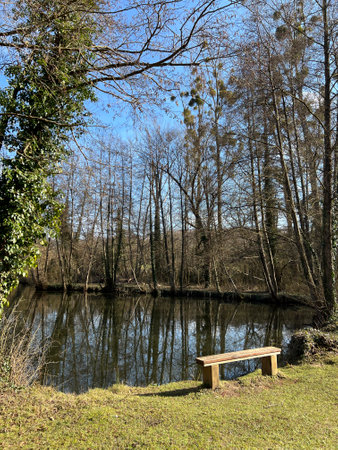 Old bench near the lake. A place for recreation near a forest lakeの写真素材