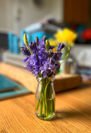 A bouquet of wild flowers in a vase on the tableの写真素材