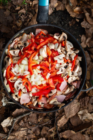 Frying pan with chopped vegetables on the ground in the forest.の写真素材