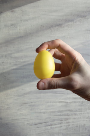 Percussion egg in hand on white background