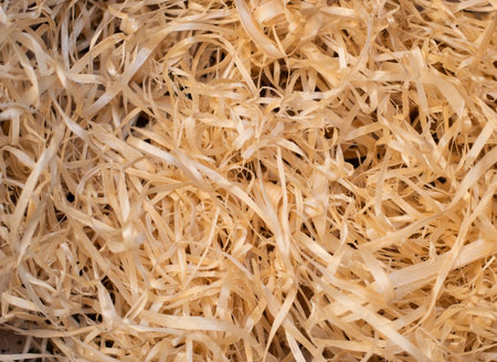 Wooden shavings background. Wood shavings for filling boxesの写真素材