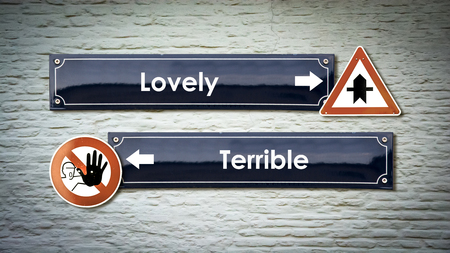 Street Sign Lovely versusTerribleの写真素材