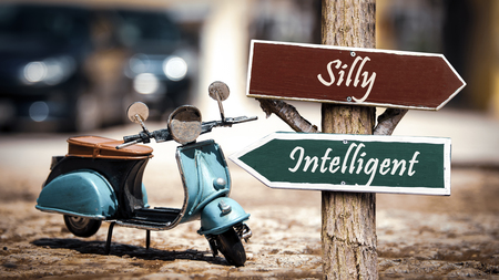 Street Sign Intelligent versus Sillyの写真素材