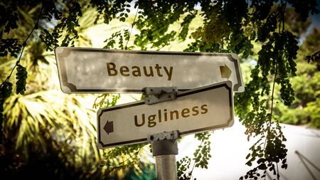 Street Sign the Direction Way to Beauty versus Uglinessの写真素材