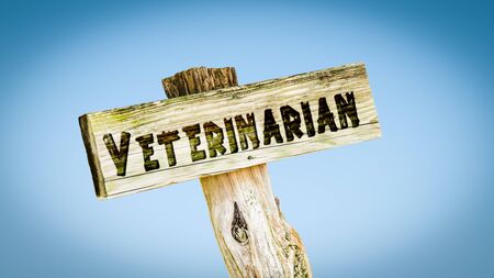 Street Sign tne Direction Way to Veterinarianの写真素材
