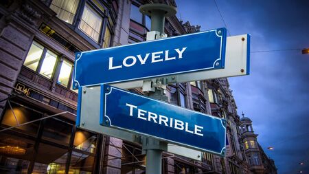 Street Sign the Direction Way to Lovely versus Terribleの写真素材
