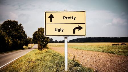 Street Sign the Direction Way to Pretty versus Uglyの写真素材