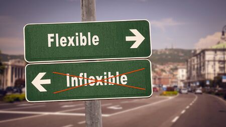 Street Sign the Direction Way to Flexible versus Inflexibleの写真素材