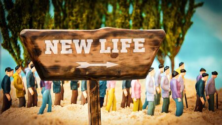 Street Sign the Direction Way to NEW LIFEの写真素材