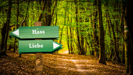 An image with a signpost pointing in two different directions in German. One direction points to love, the other points to hate.の写真素材