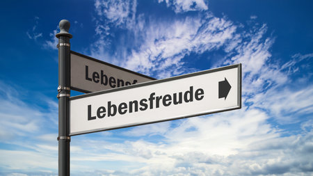 a picture with signposts in the direction of joie de vivre in Germanの写真素材