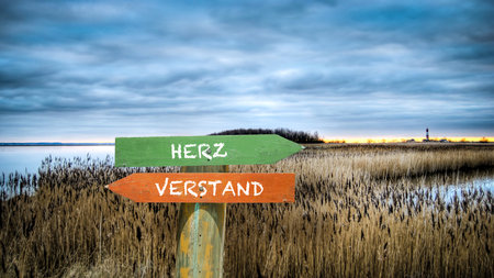 An image with a signpost pointing in two different directions in German. One direction points to the heart, the other points to the mind.の写真素材