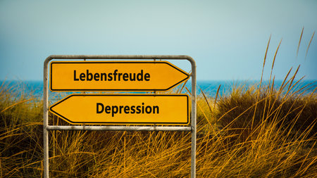 An image with a signpost pointing in two different directions in German. One direction points to Lebensfreude, the other points to Depression.の写真素材
