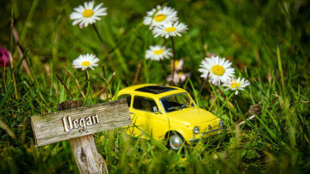 An image with a signpost in German pointing in the direction of Vegan.の写真素材