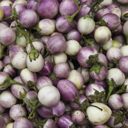 Thai eggplants on a market in Thailandの写真素材