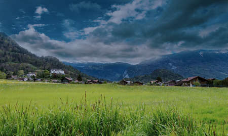 landscape in the summerの写真素材