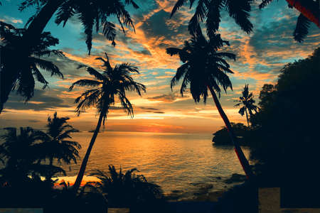 sunset on the beachの写真素材