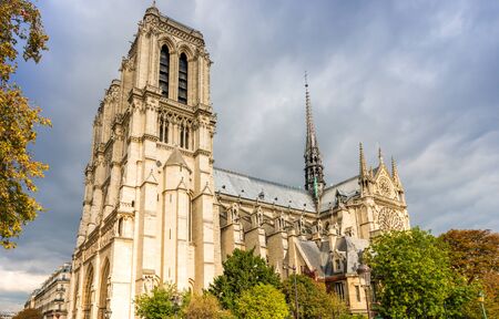 Notre Dame Cathedral in Paris, Franceの写真素材