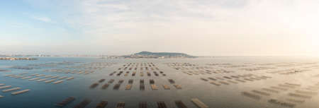 Oyster tables on the Thau lagoon and Mont Saint Clair in the background, in Bouzigues, Occitanie, Franceの写真素材