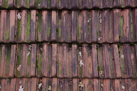 Roofing tile red with moos Background Wallpaperの写真素材